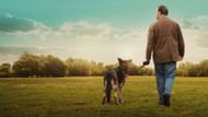 Still from After Life (Image via Netflix)
